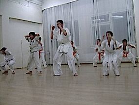Тигры - Семинар и аттестация для 10-8 Кю