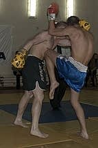 Второй открытый кубок СПК Белые Тигры