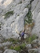 Алтай 07.05.12 ПОКОРЕНИЕ ВОДОПАДСКОЙ ГОРЫ