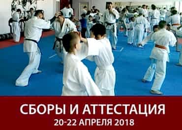 Сборы и аттестация 20-22 апреля - Клуб единоборств БЕЛЫЕ ТИГРЫ, Астана - ММА, бразильское джиу-джитсу, кикбоксинг, каратэ: тренировки для взрослых и детей