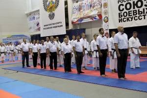 Чемпионат России по Всестилевому Каратэ