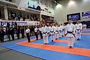 Чемпионат России по Всестилевому Каратэ
