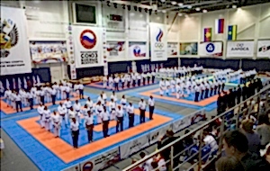 Чемпионат России по Всестилевому Каратэ