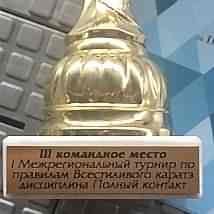 Соревнования по Всестилевому каратэ среди детей