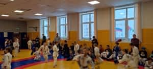 Турнир по бразильскому джиу-джитсу для детей в Кольцово